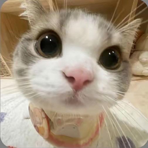 nini