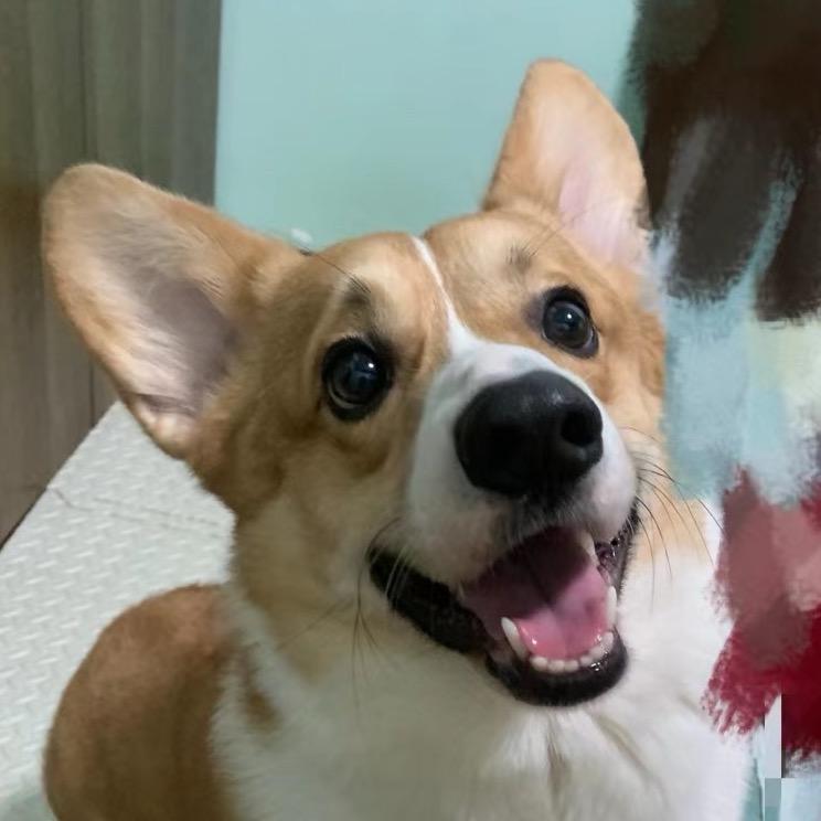 肥颠是条狗