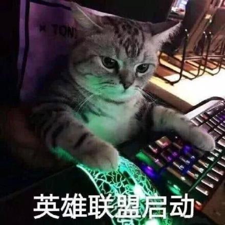 三顾猫庐（游戏版）