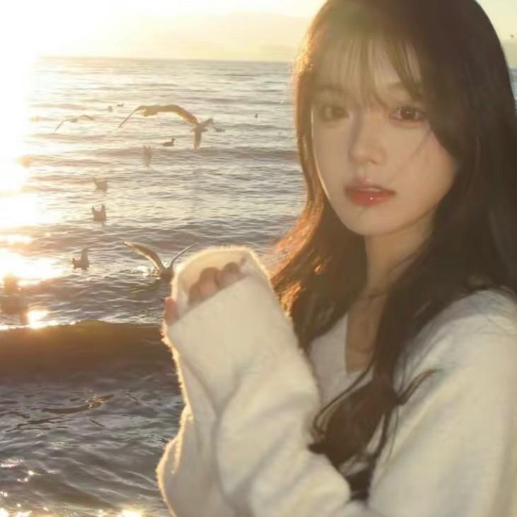 小杨一橱窗推荐