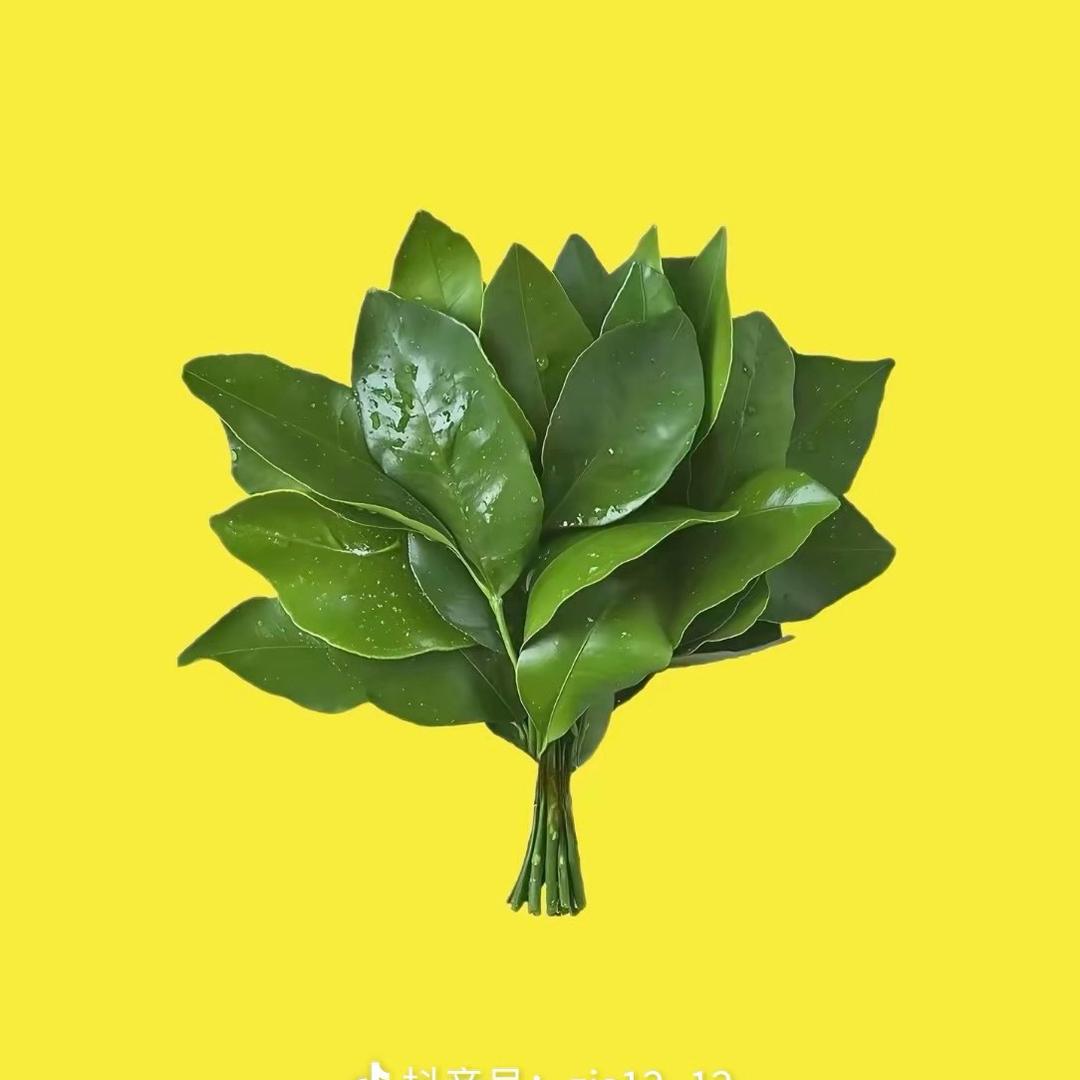 清沐