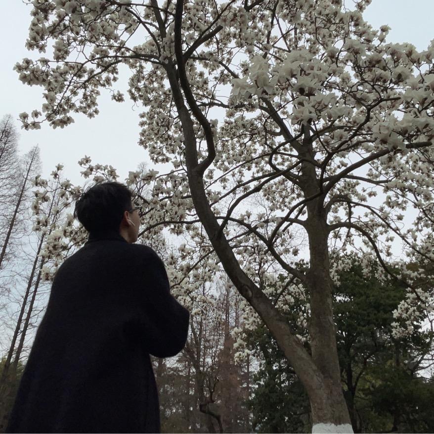 皎月的伊苏尔德