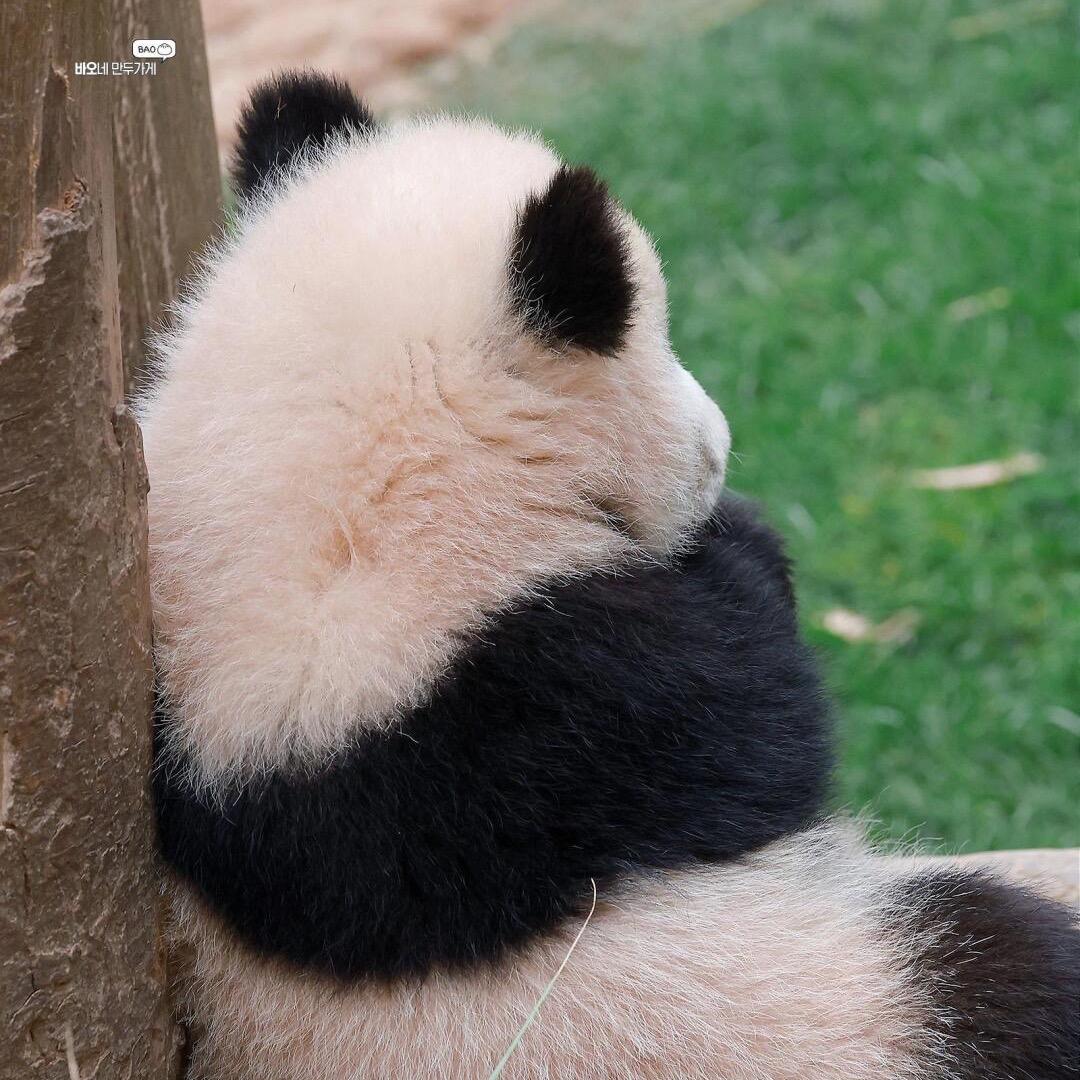 你很可爱