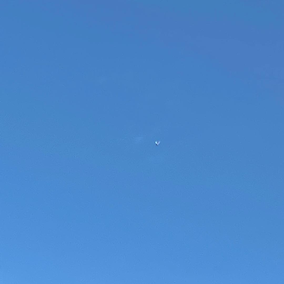 叮叮咚咚小布丁