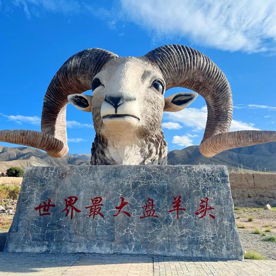 阿华DIZI