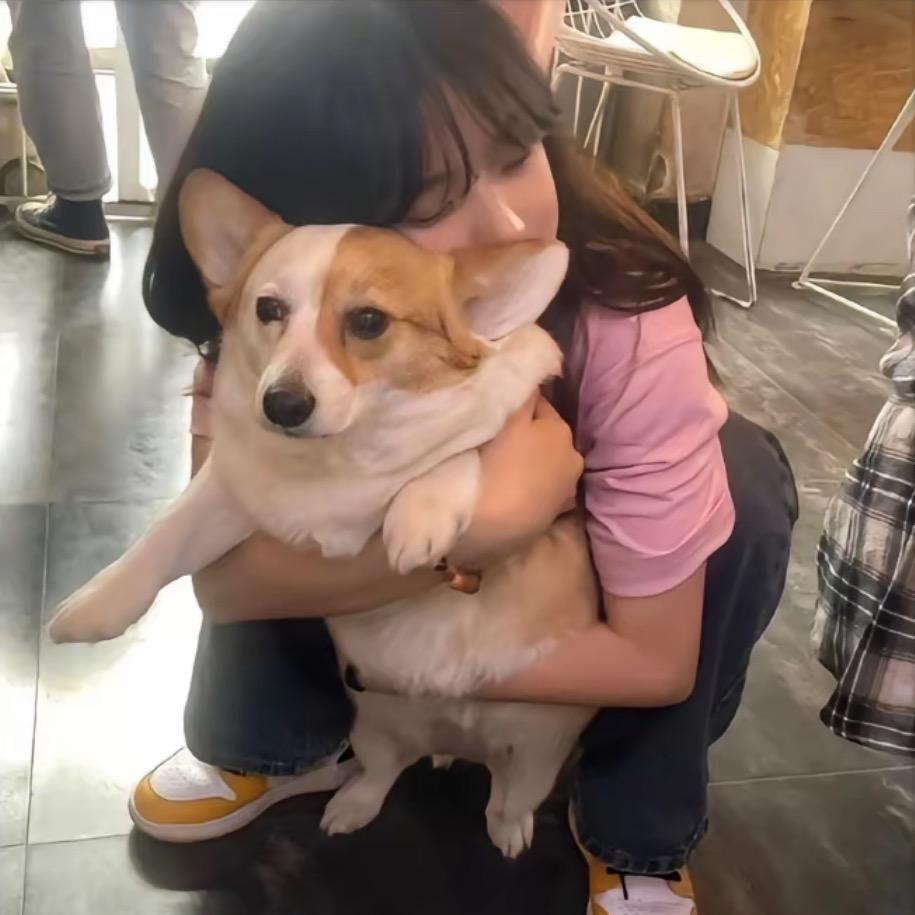 果晴不加冰^.ᯅ.^