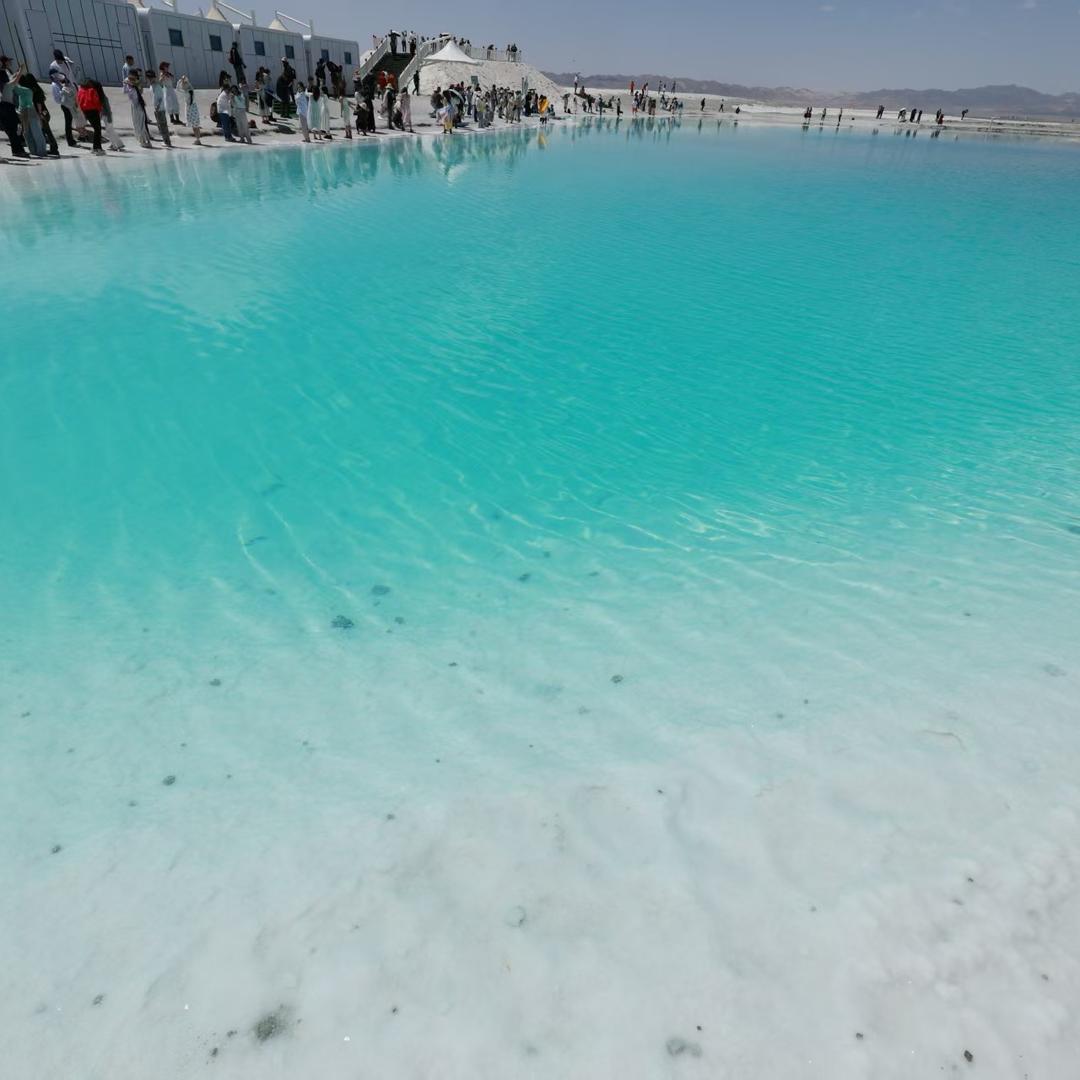 🐒谢谢有你🐒