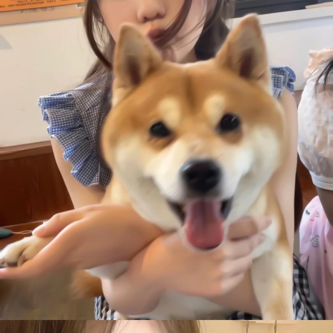 话就没少过