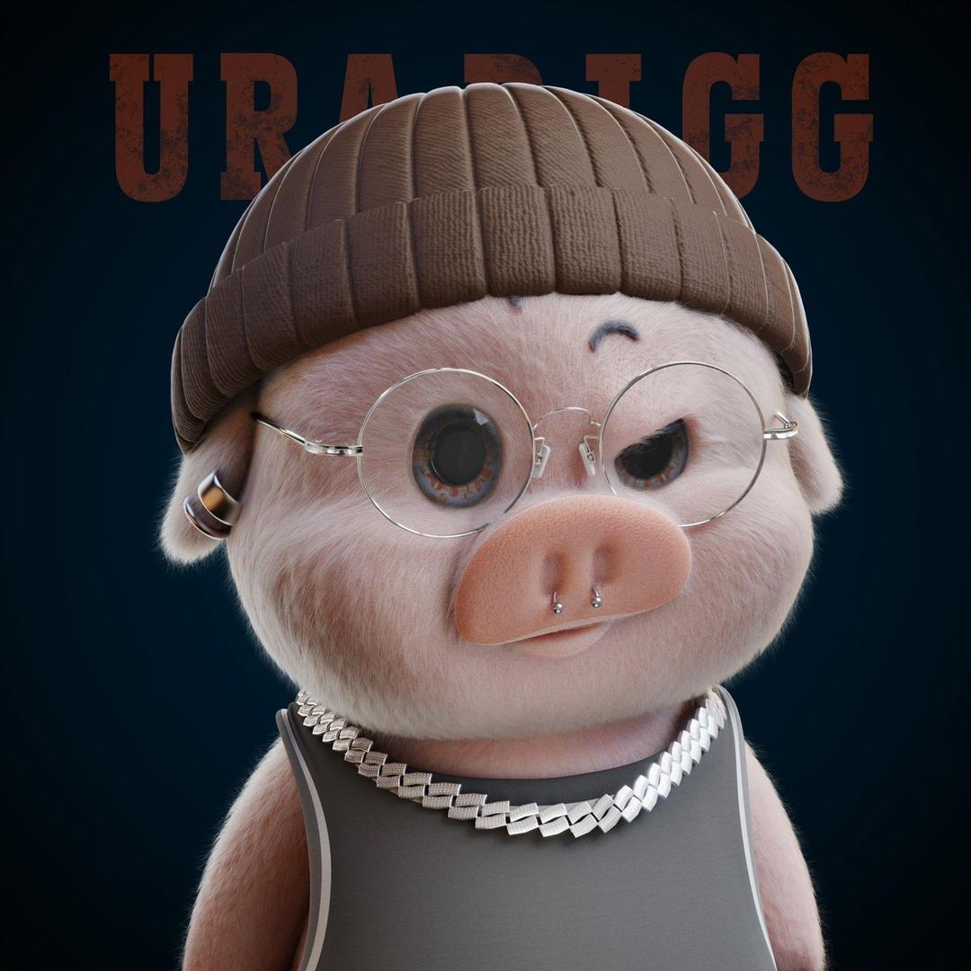 懒猪🐷童鞋