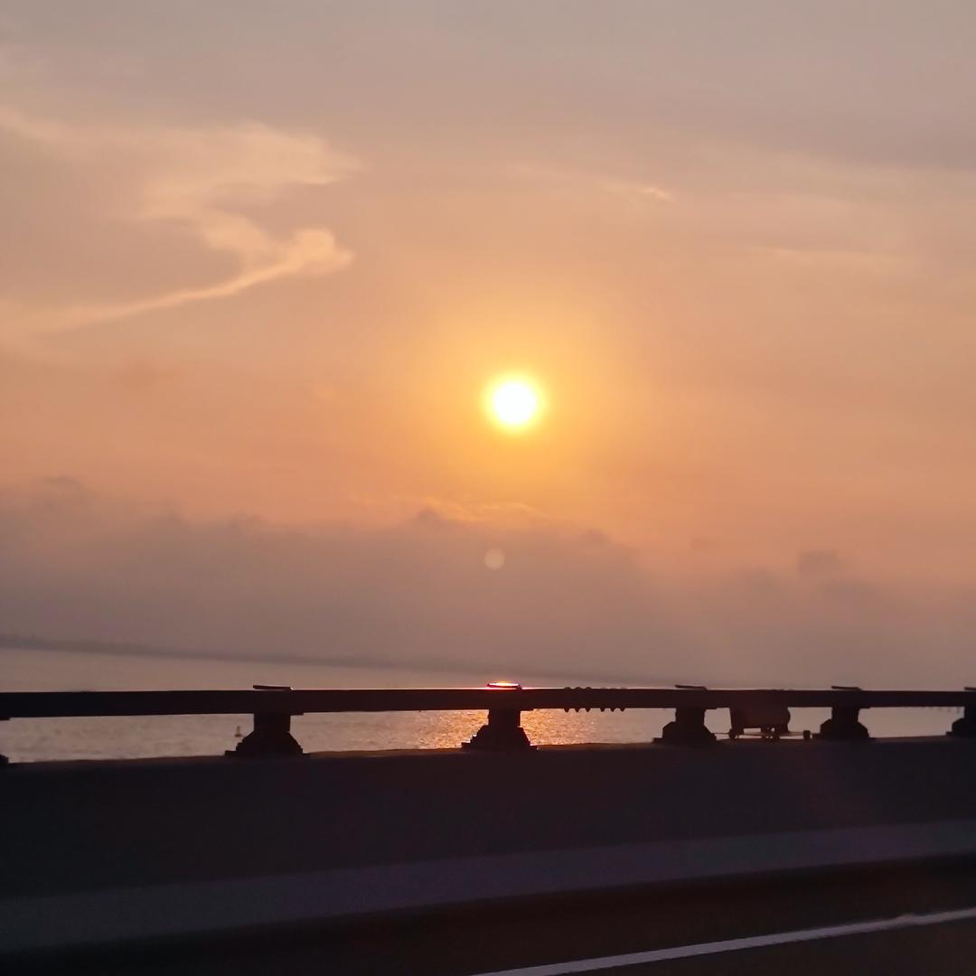 珊珊