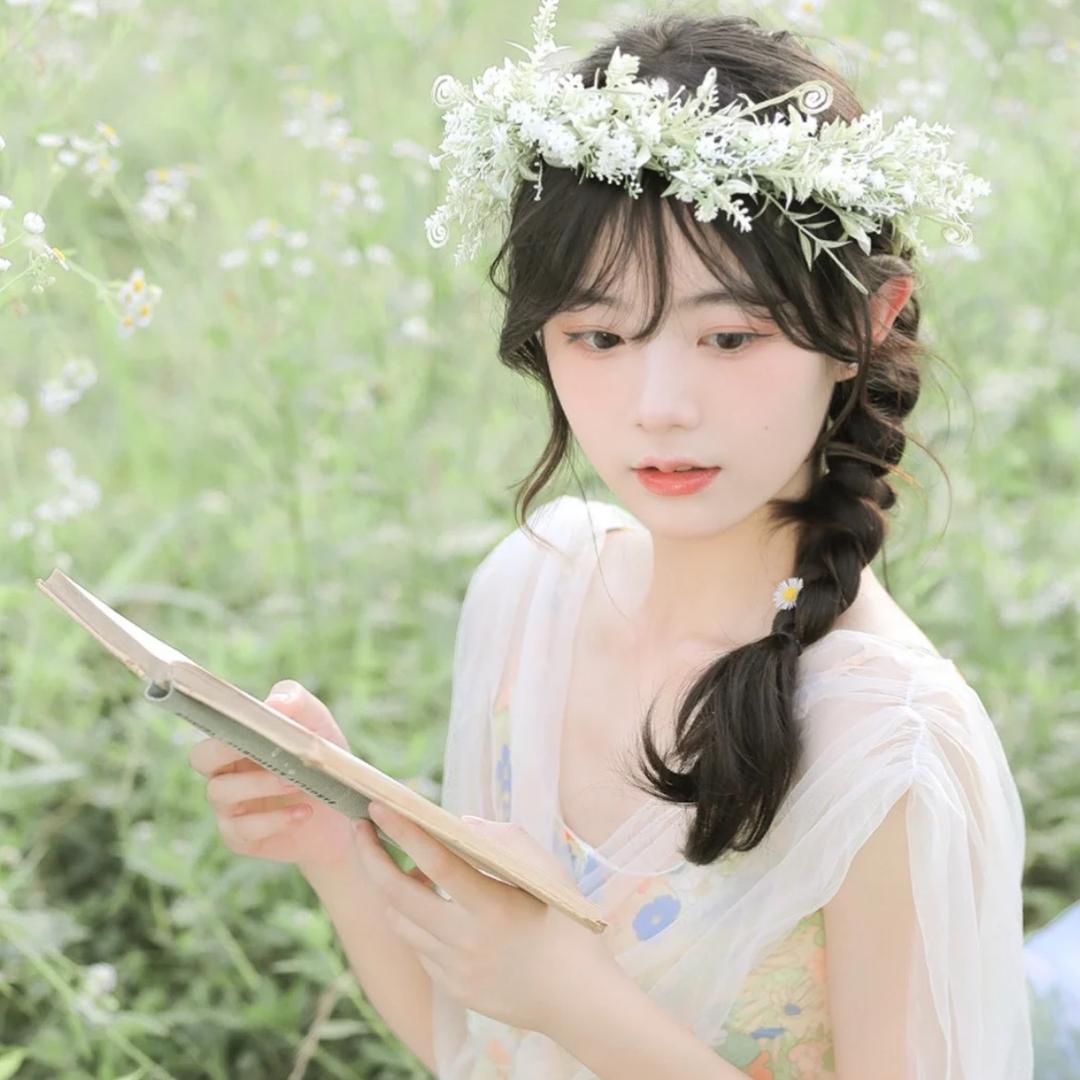 赤橙萱草