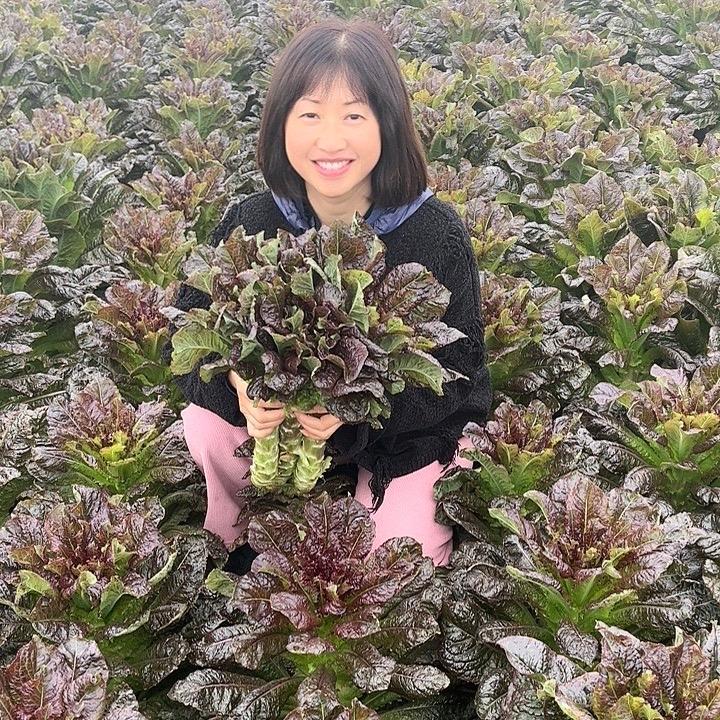 蜀乡蔬果