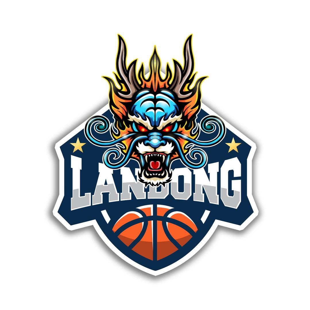 篮动体育·篮球训练营