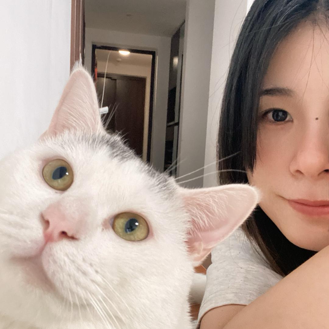 不吃香菇的杜杜🦋
