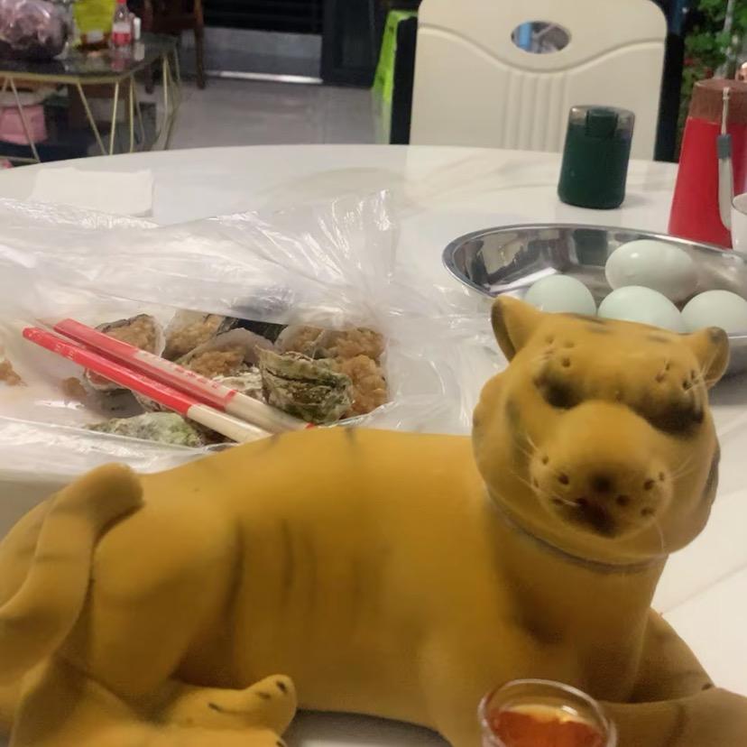 🐯大猫GU  （8+1）