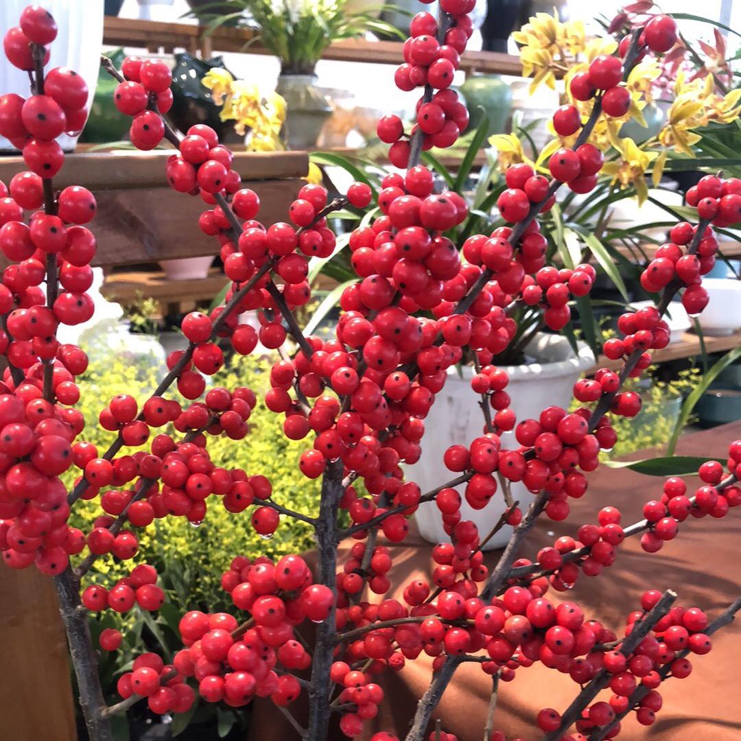 明天会更好