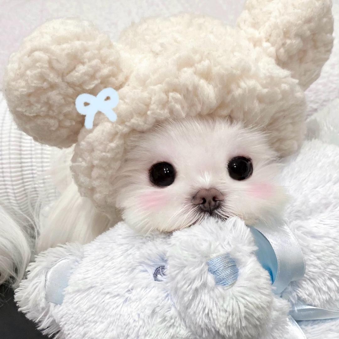 猫久久_