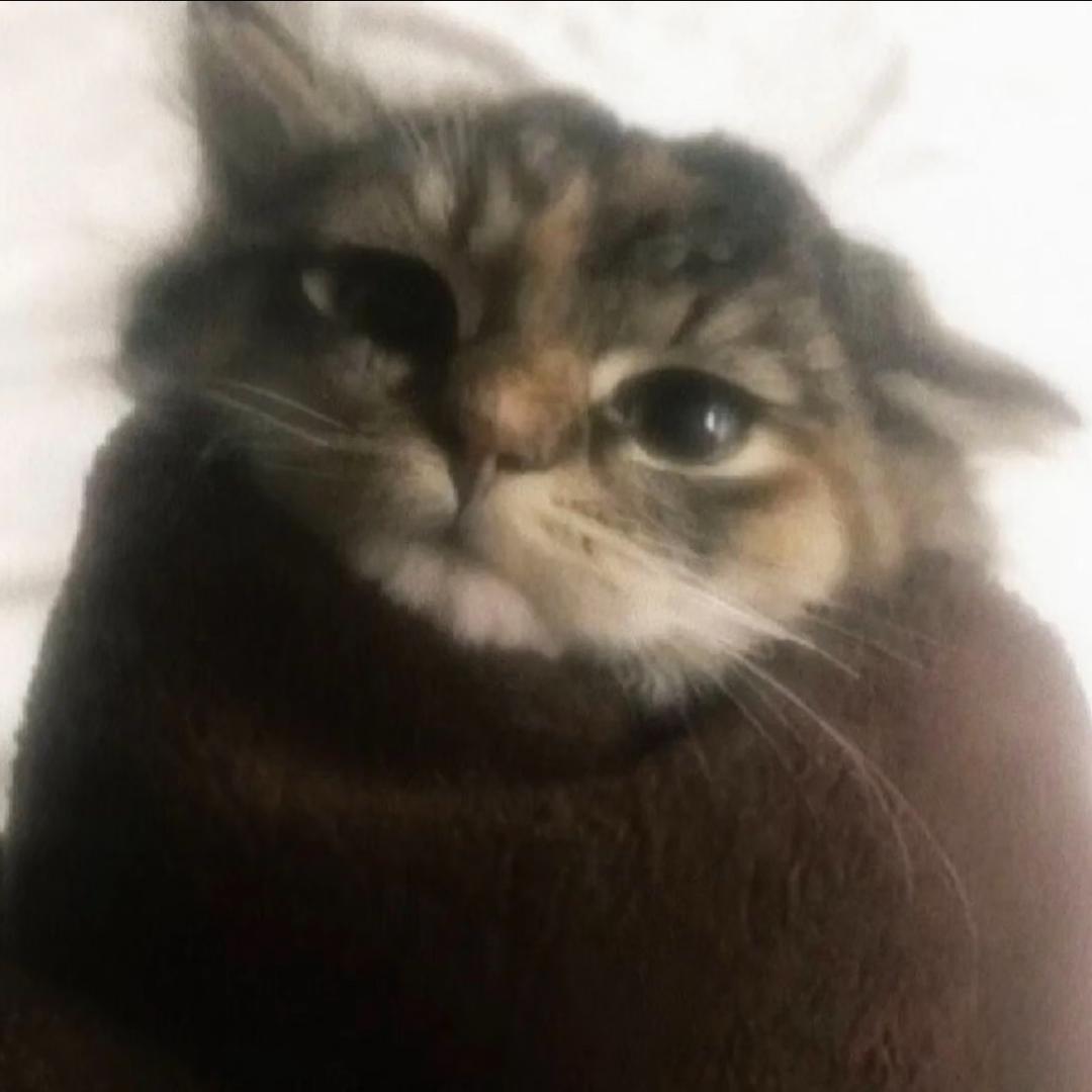 小咕