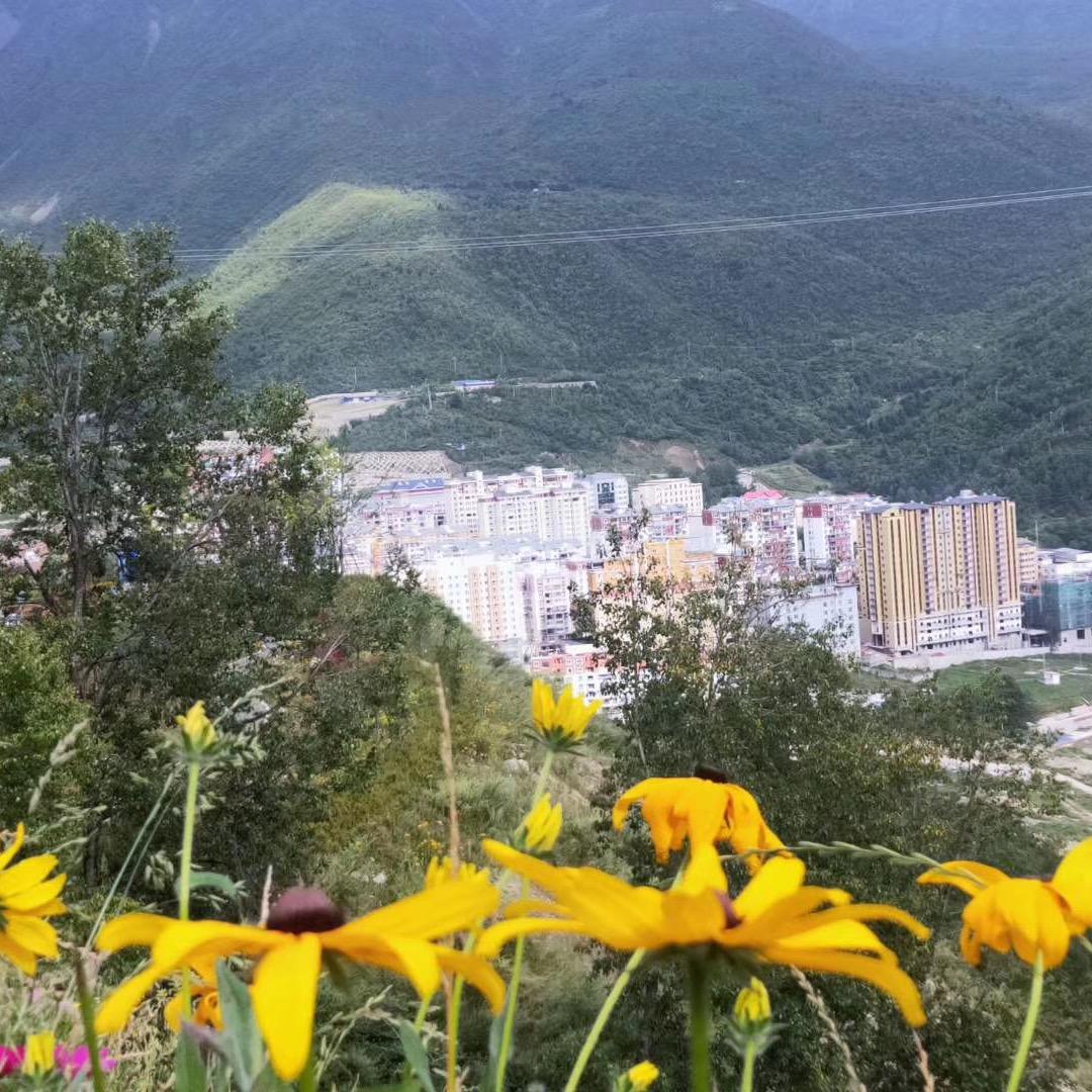 温馨开心
