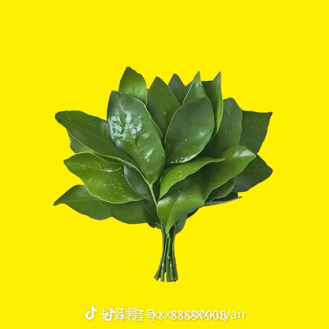 小淳宝儿