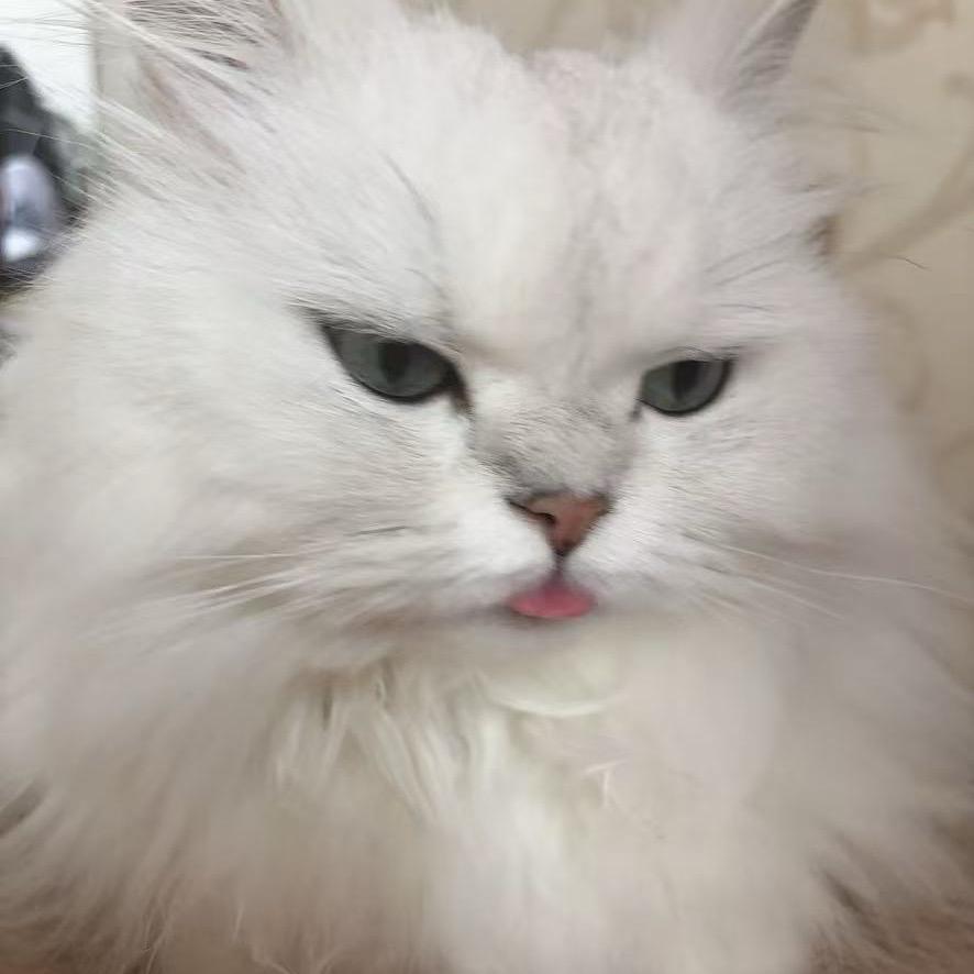 等风起