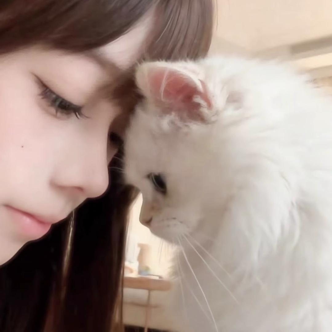 💭𝗛𝗲𝗹𝗹𝗼͜ 𓐃