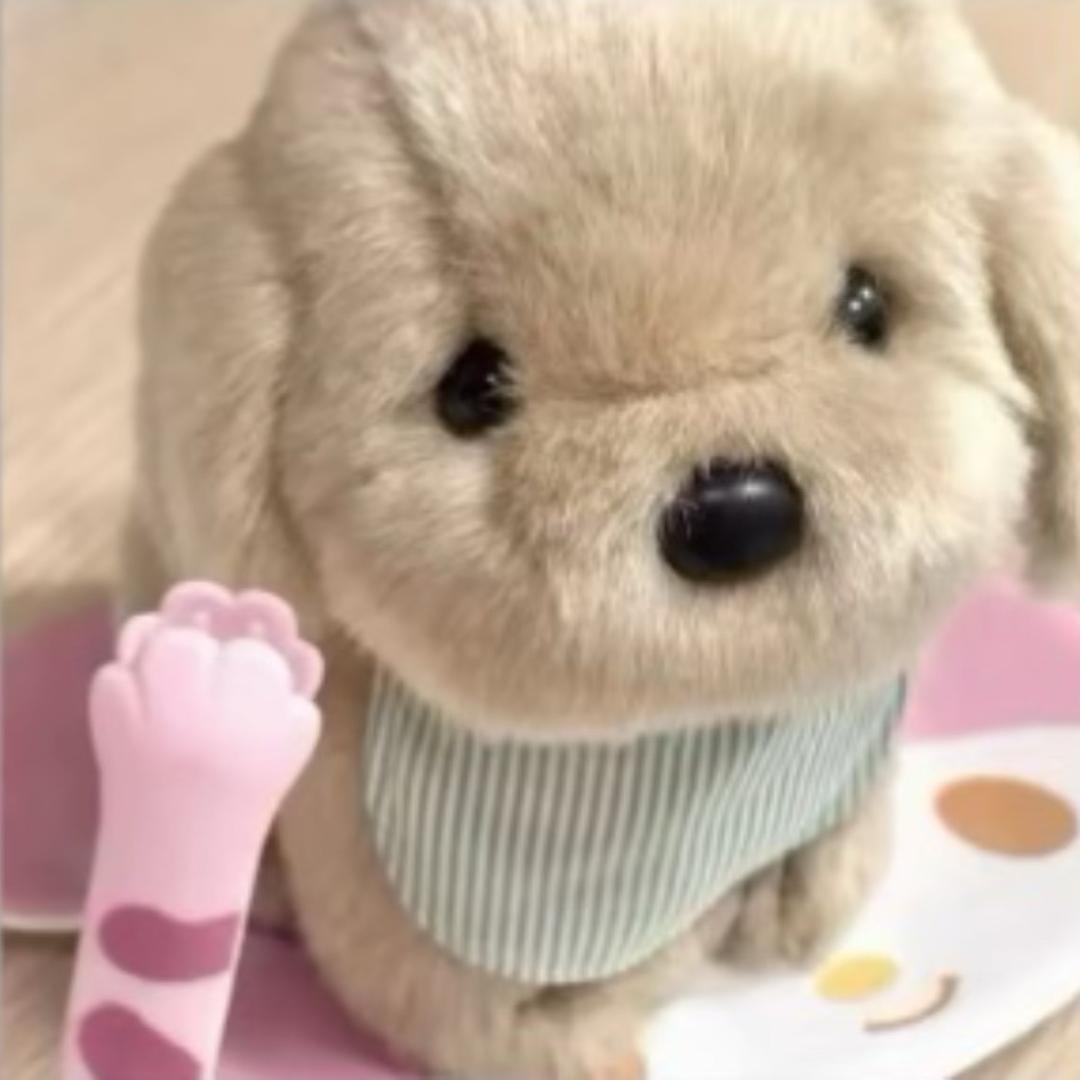 @迪迦