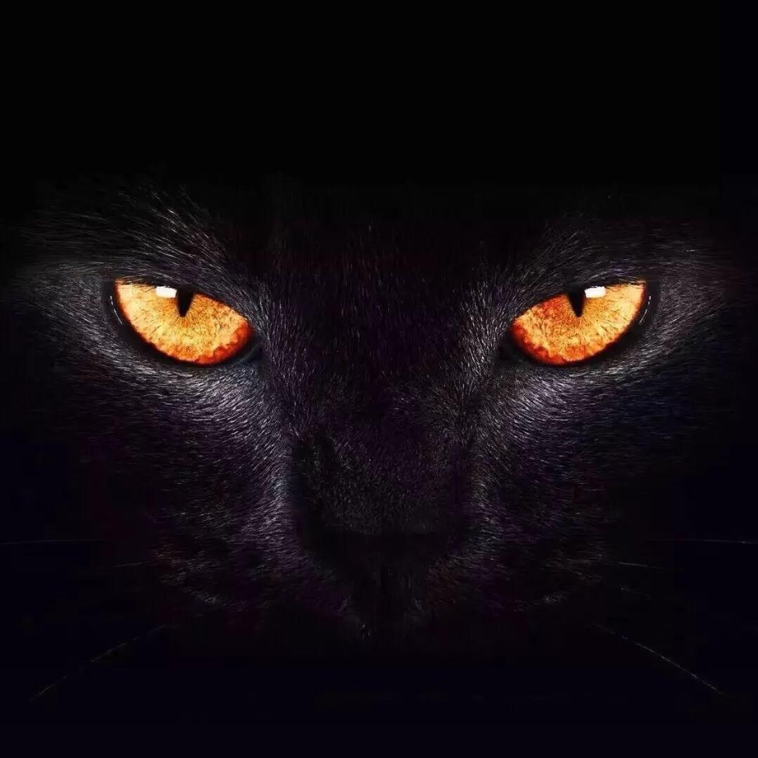 遇佛上香，遇贼掏枪。