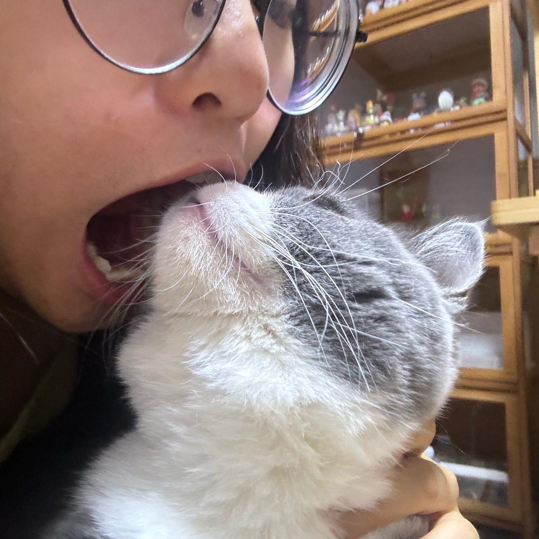 十月不爱吃胡萝卜