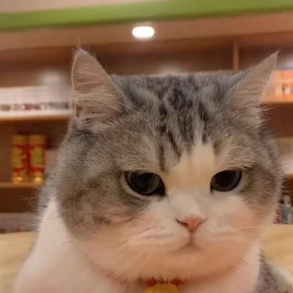 小木木休闲娱乐