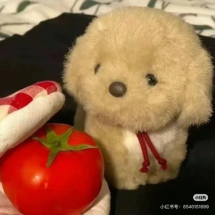 这几年的情爱与时光究竟是错付了