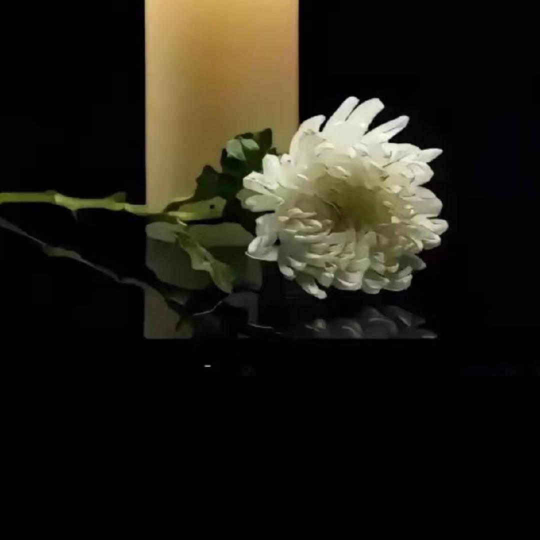 时尚巴黎造型的妈妈一路走好