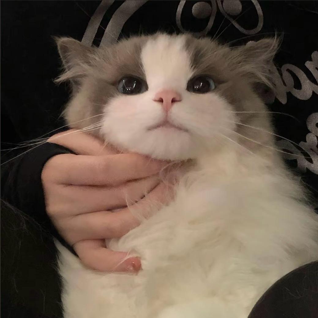 沄深