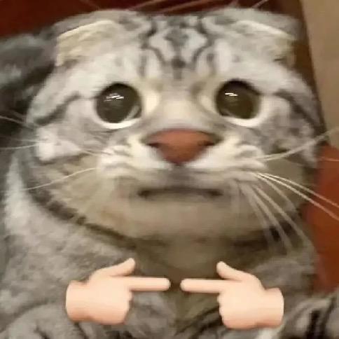 金铲铲团队四四