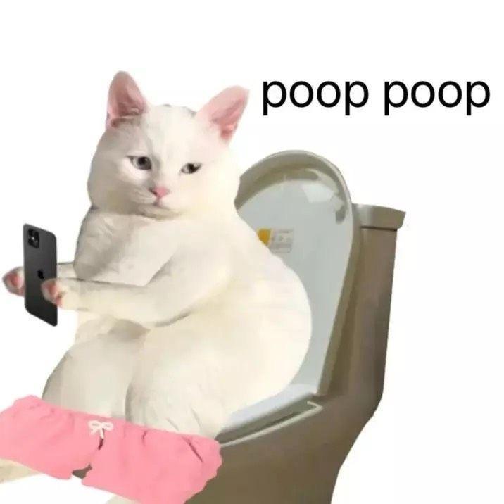 jhꪔ̤̮