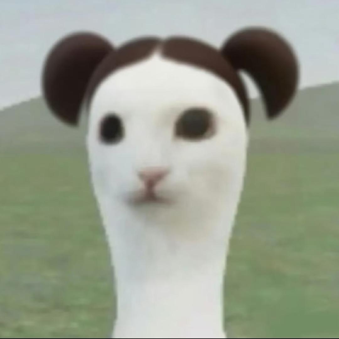 骂我的暗恋我