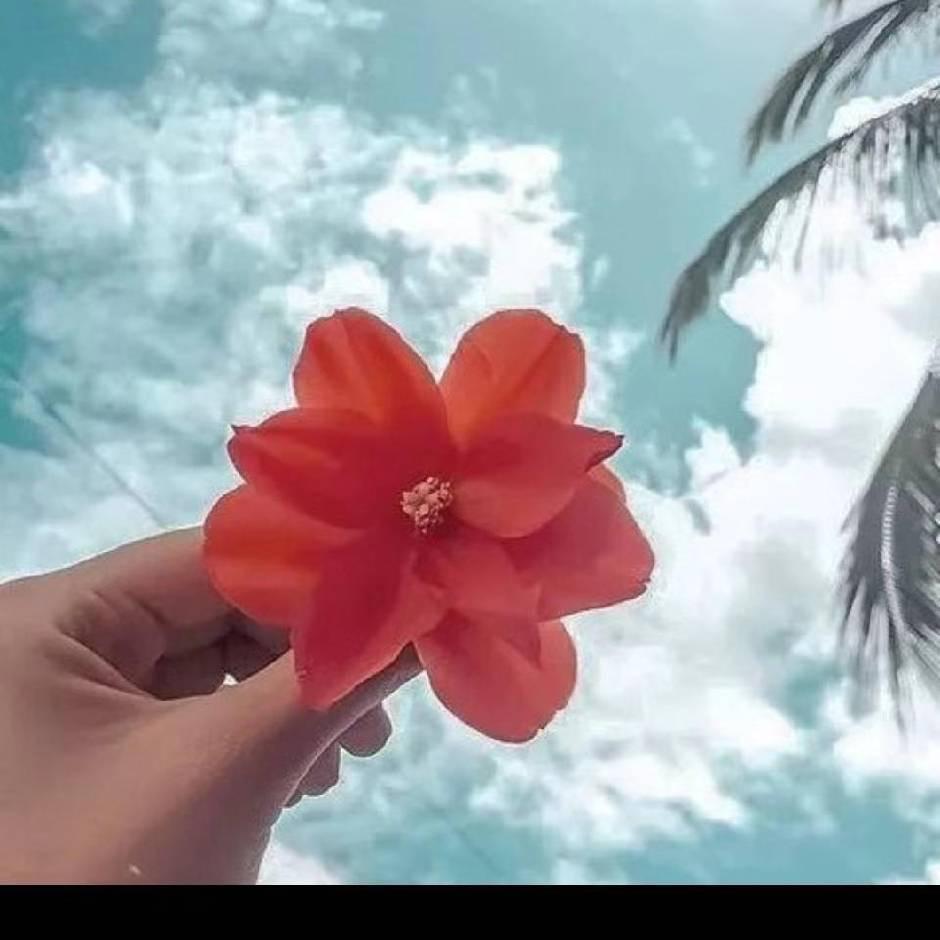 简单幸福0810