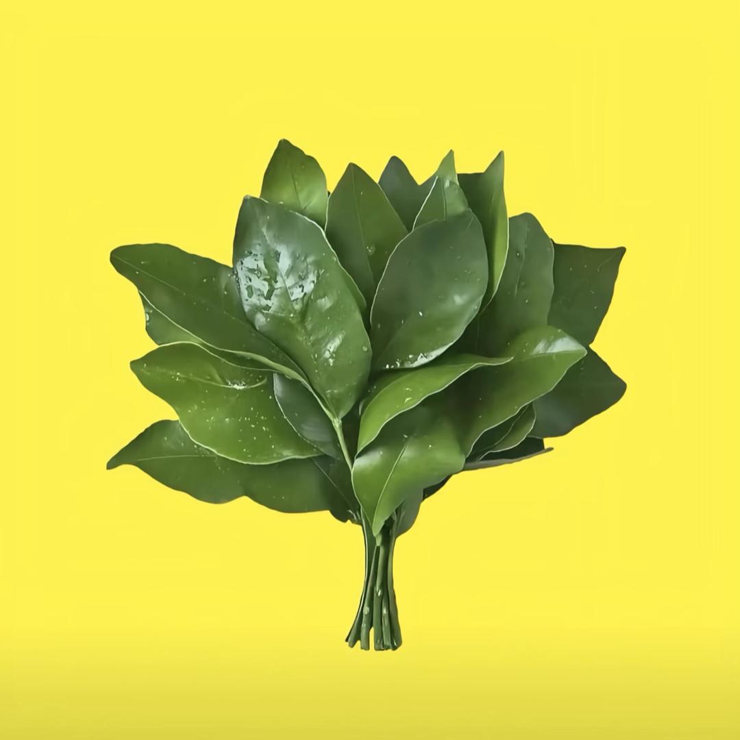 娜千斤（小基数减肥版）