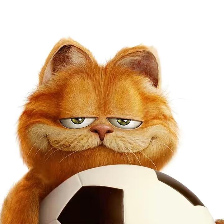 大黄是只猫🐱