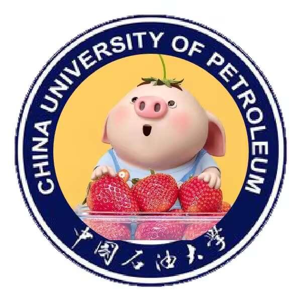 石大果宝头像