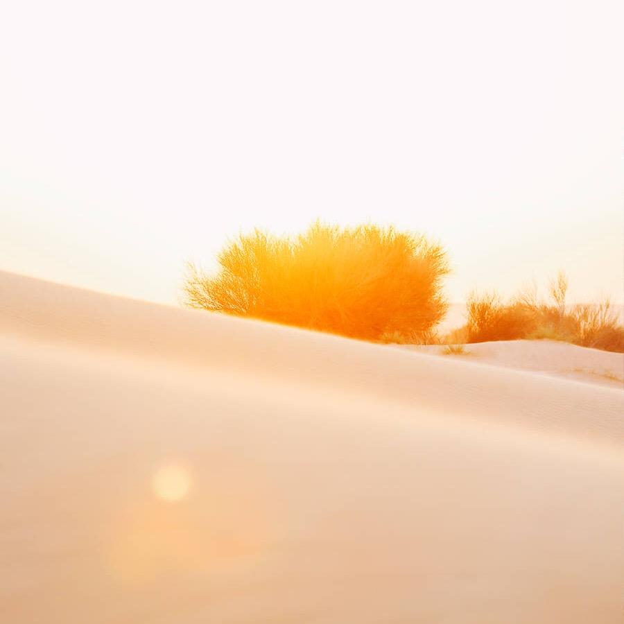 崔崔（互关必回)