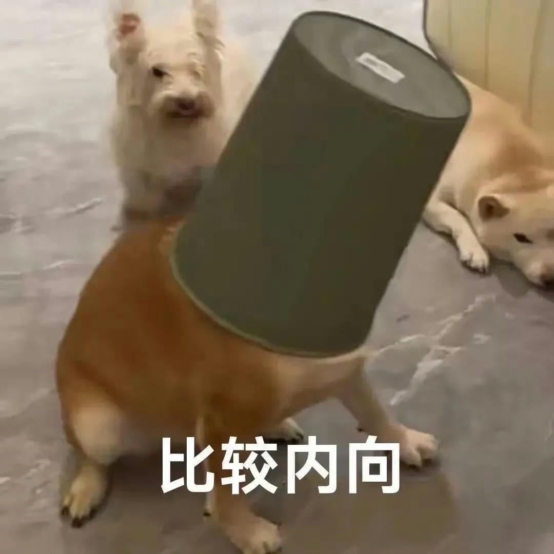 快乐小狗