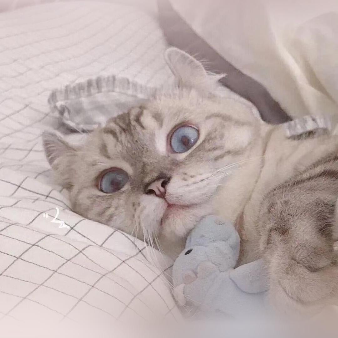 小鹿仙游～
