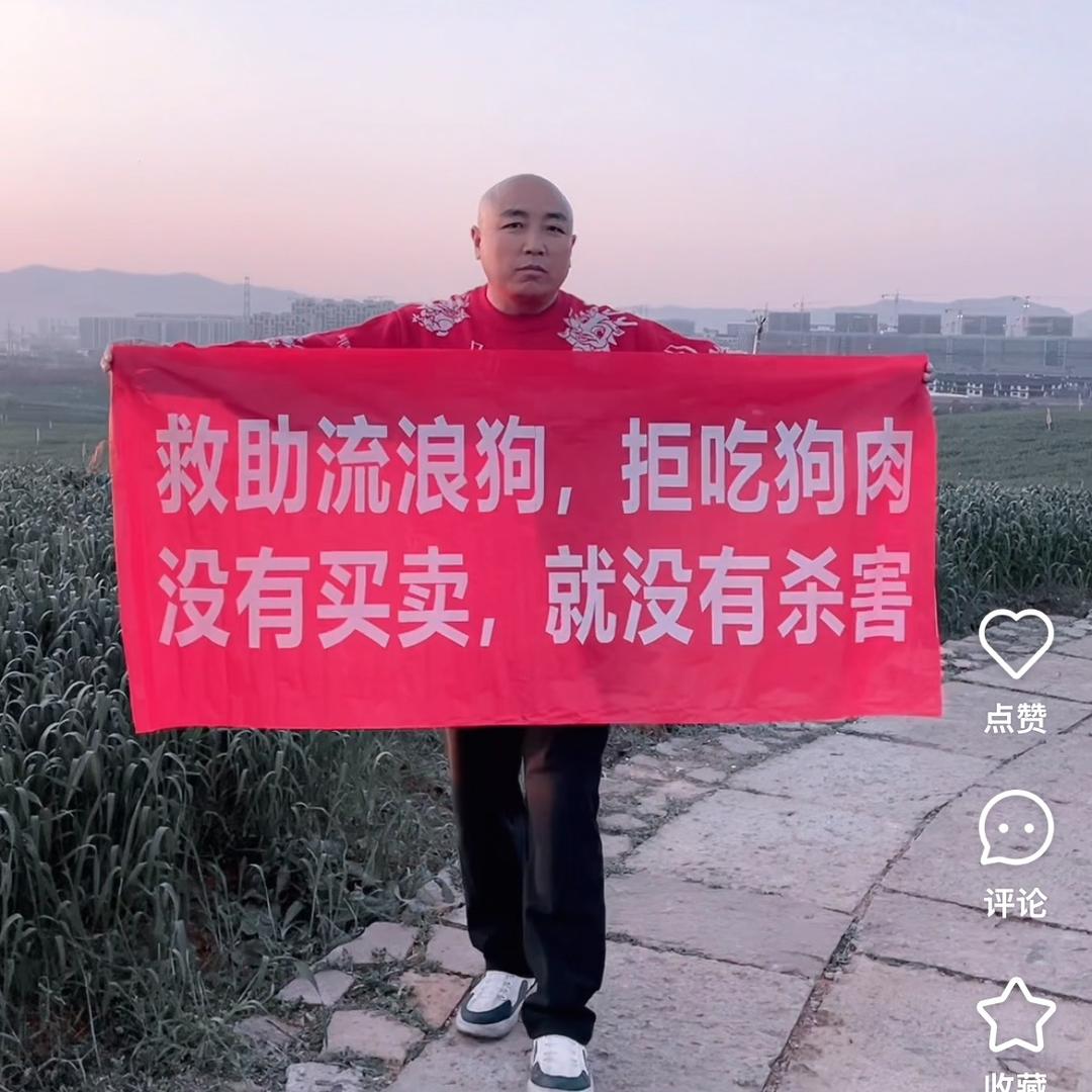 光头的光（宠宝回家）
