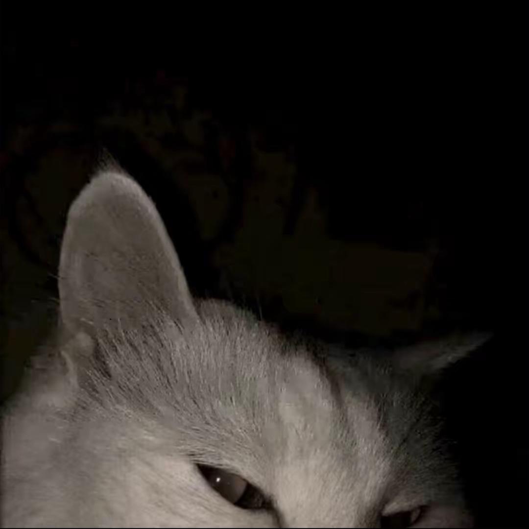 时间不会说谎