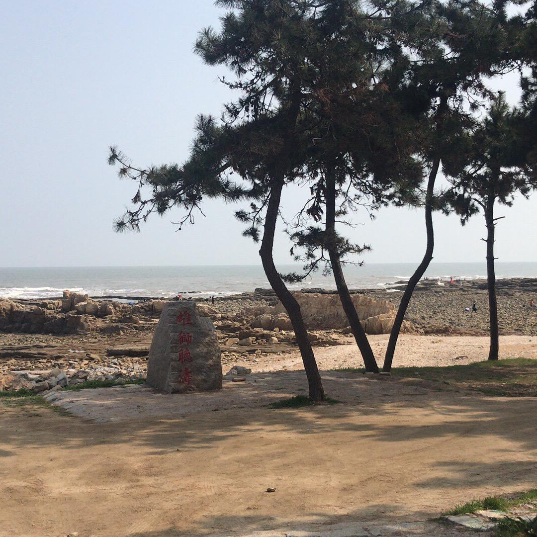 财运自来