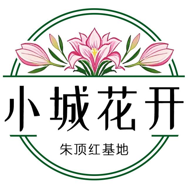 小城花开朱顶红基地