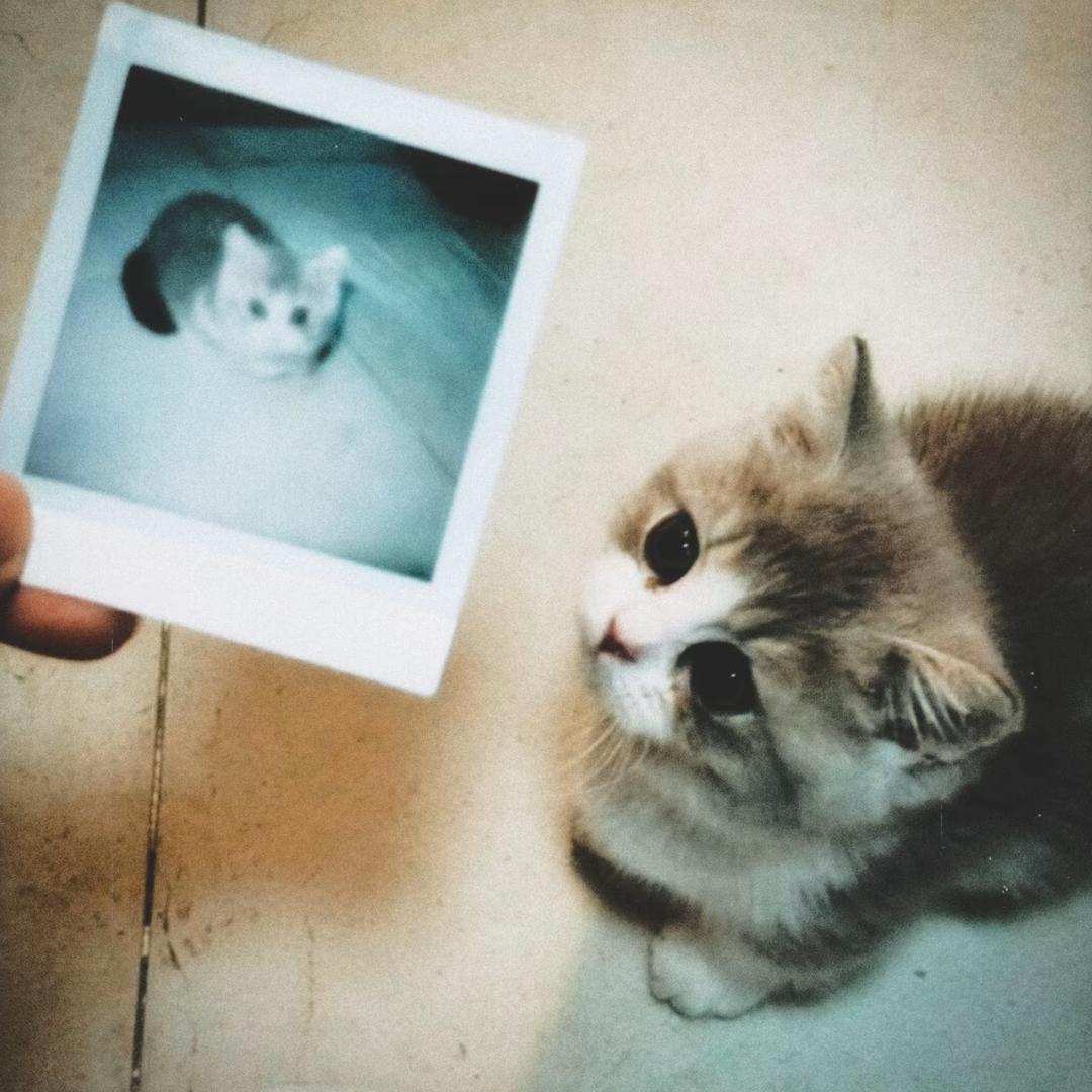 叶文浩
