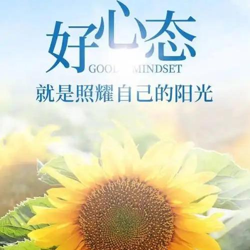 太阳🌞😇😇😇