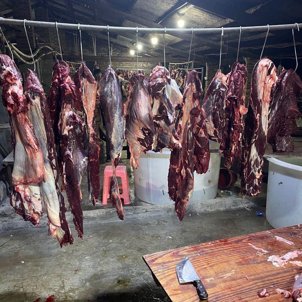 ®️牛肉批发（小黄）